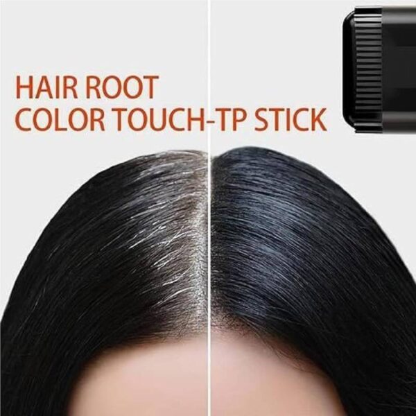 2 in 1 Hair Dye Color Stick