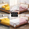 Bedsheet Duvet Clip