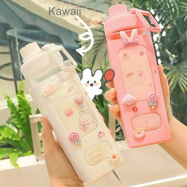 700ml Kawaii Water Bottle with Straw and Sticker