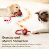 Automatic Cat Teaser Ball Red Rolling Ball