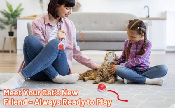 Automatic Cat Teaser Ball Red Rolling Ball