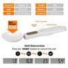 Digital Electronic Spice Spoon 500 gm