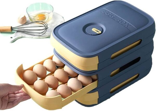 Egg-Storage-Drawer-Box-1683780218 Egg Storage Drawer Box
