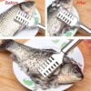 Fish Scale Remover Scraper