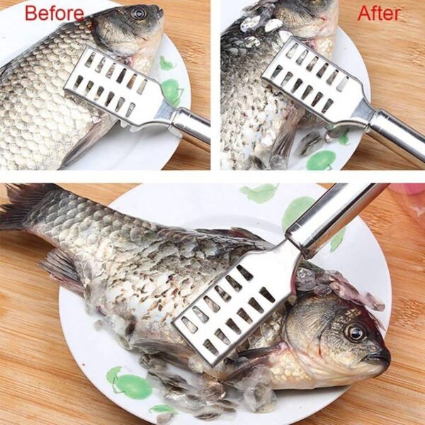 Fish Scale Remover Scraper