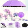 Magic Umbrella 