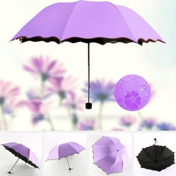 Magic Umbrella 
