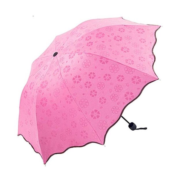 Magic Umbrella 