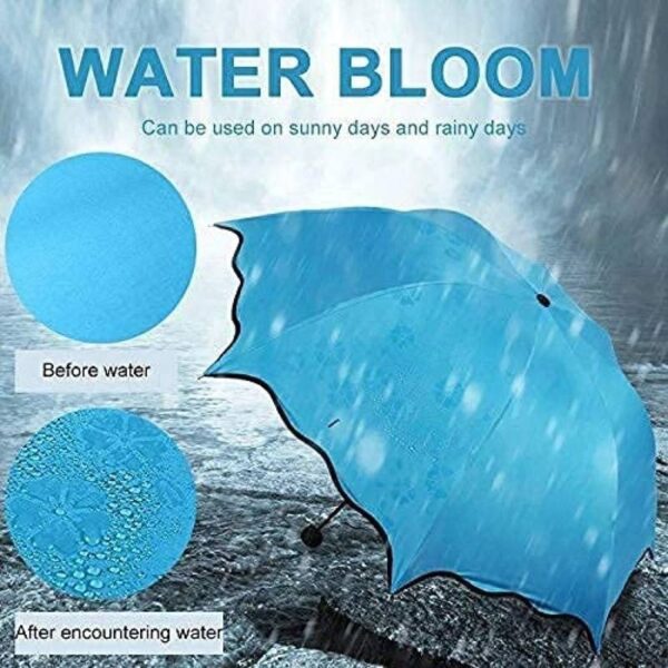Magic Umbrella 