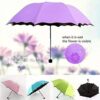 Magic Umbrella 