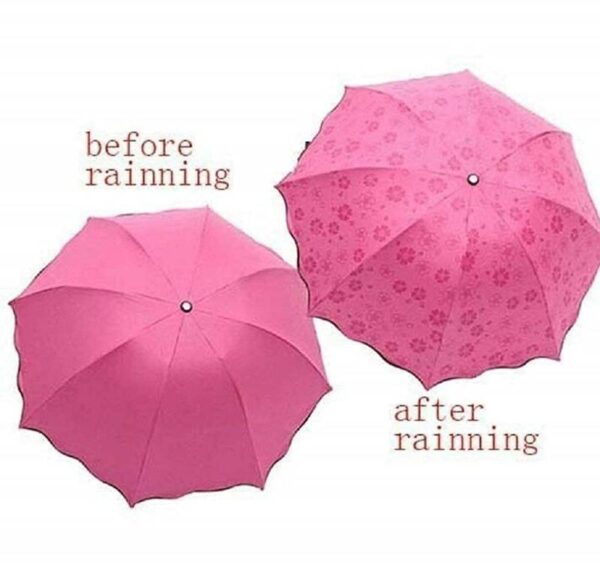 Magic Umbrella 