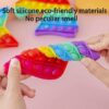 Cactus Fidget Pop it Rainbow Toy