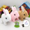 Walking-and-Talking-Rabbit-1704793203 Walking and Talking Rabbit
