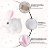 Walking-and-Talking-Rabbit1-1704793203 Walking and Talking Rabbit