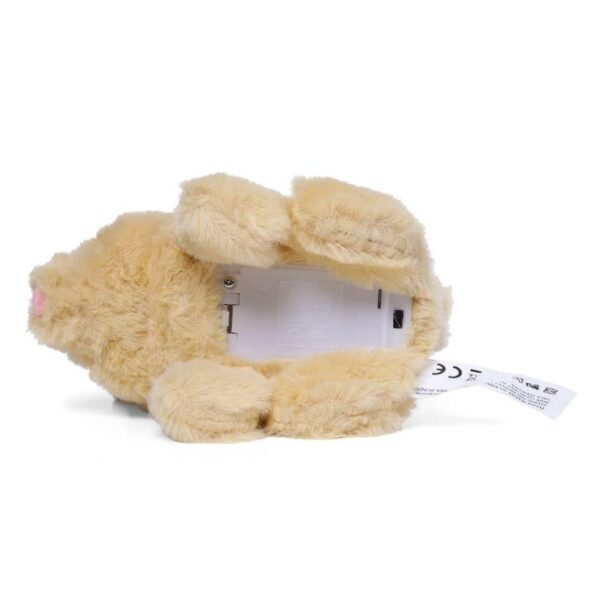 Walking-and-Talking-Rabbit3-1704793204 Walking and Talking Rabbit