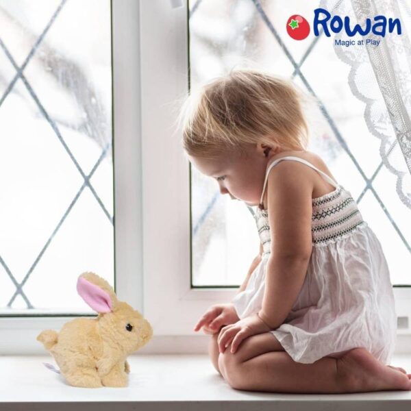 Walking-and-Talking-Rabbit4-1704793205 Walking and Talking Rabbit