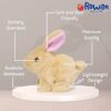 Walking-and-Talking-Rabbit5-1704793206 Walking and Talking Rabbit