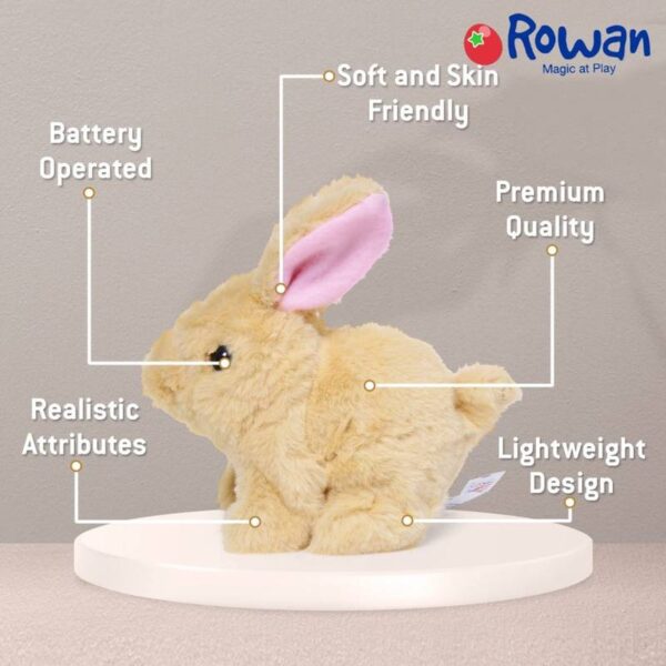 Walking-and-Talking-Rabbit5-1704793206 Walking and Talking Rabbit