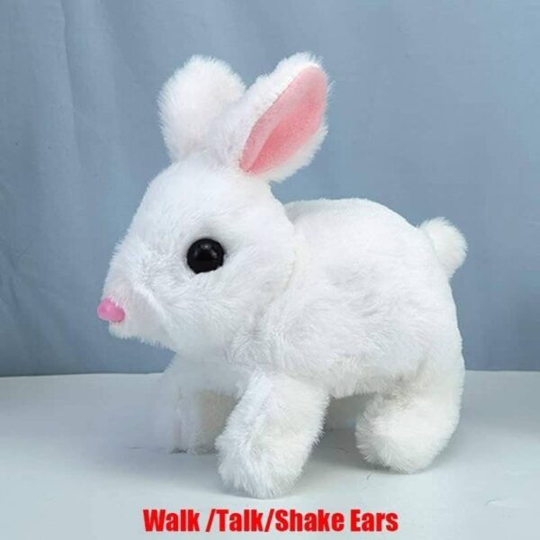 Walking-and-Talking-Rabbit7-1704793207 Walking and Talking Rabbit