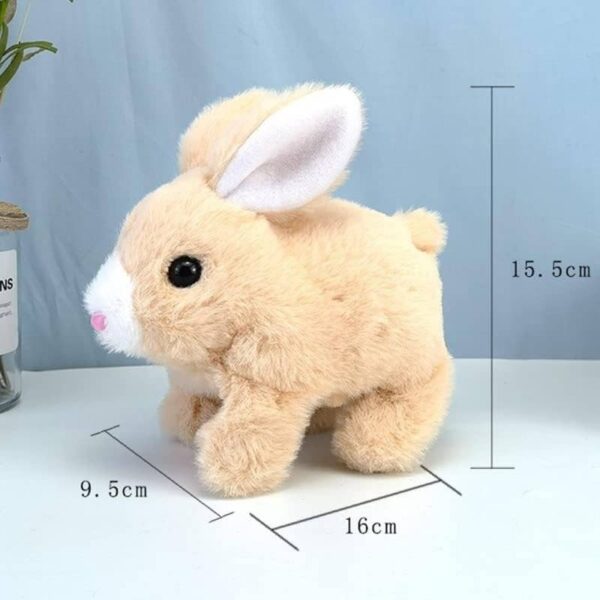 Walking-and-Talking-Rabbit8-1704793207 Walking and Talking Rabbit