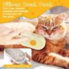 3-in-1-Pet-Steam-Brush3-1771580762 3 in 1 Pet Steam Brush