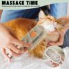 3-in-1-Pet-Steam-Brush4-1771580763 3 in 1 Pet Steam Brush