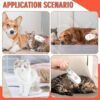 3-in-1-Pet-Steam-Brush6-1771580763 3 in 1 Pet Steam Brush