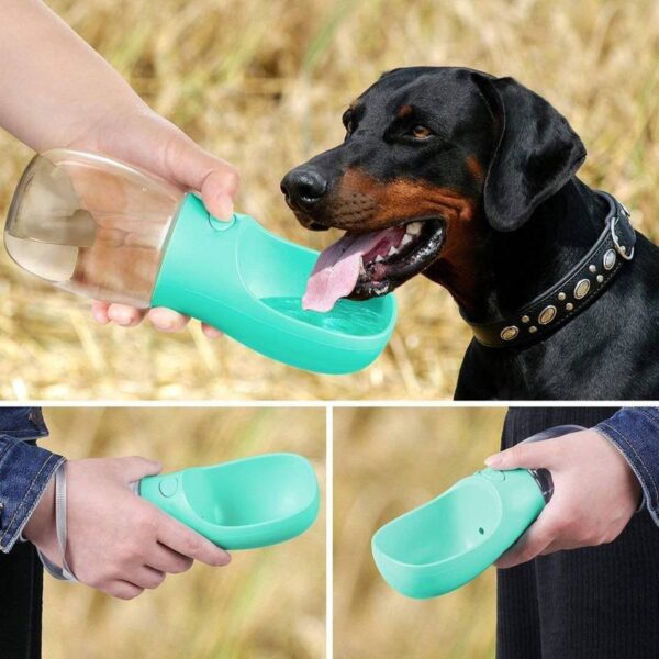 Pet-Care-Cup-350ml1-1704348564 Pet Care Cup 350ml