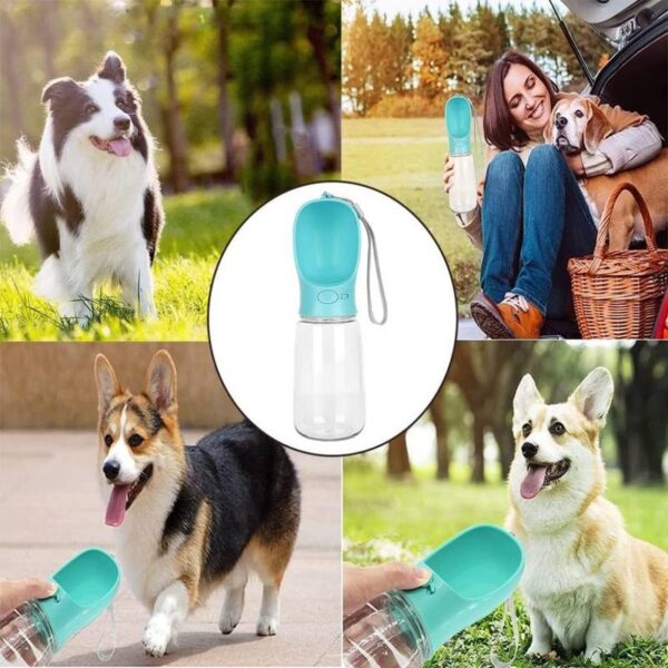 Pet-Care-Cup-350ml5-1704348566 Pet Care Cup 350ml
