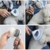 Pet-Hair-Remover-Comb1-1696241238 Pet Hair Remover Comb