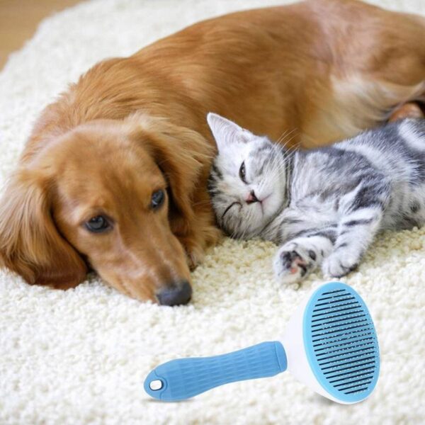 Pet-Hair-Remover-Comb5-1696241240 Pet Hair Remover Comb